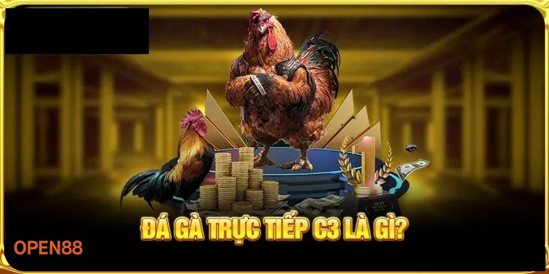 Đá Gà open888 - Trận đấu đa dạng, nhịp độ hấp dẫn Đá Gà open888 - Trận đấu đa dạng, nhịp độ hấp dẫn